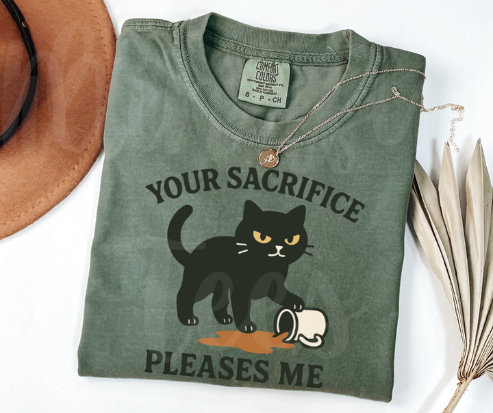 "Your Sacrifice Pleases Me" Sarcastic Cat Design Unisex heavyweight t-shirt