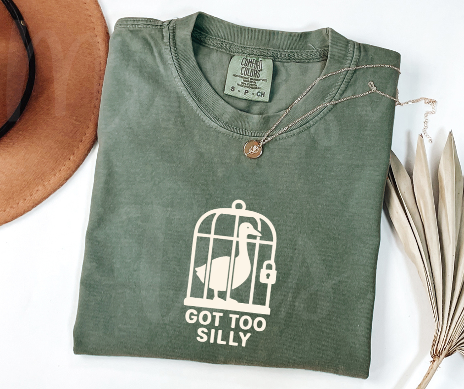 "Got Too Silly" Sarcastic Design Unisex heavyweight t-shirt