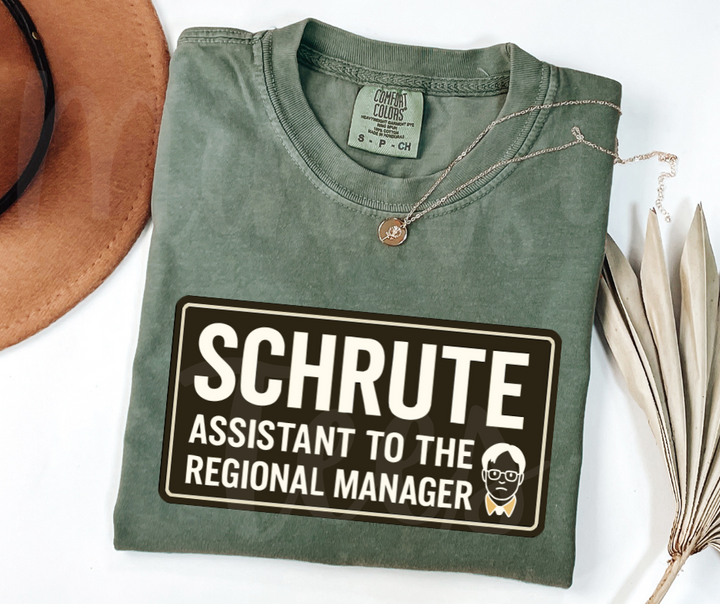 "Assistant To The Regional Manager" Sarcastic Design The Office Inspired Unisex heavyweight t-shirt
