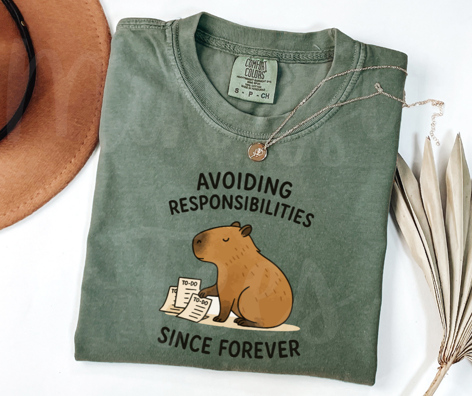 "Avoiding Resposibilities" Sarcastic Design Unisex heavyweight t-shirt