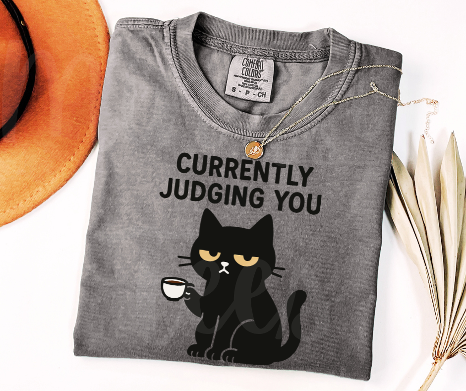 "Judging You" Sarcastic Cat Design Unisex heavyweight t-shirt