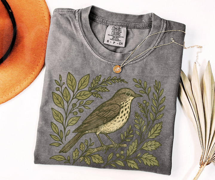 "Swainson's Thrush" Birdwatching Design Birds and Nature Inspired Unisex heavyweight t-shirt