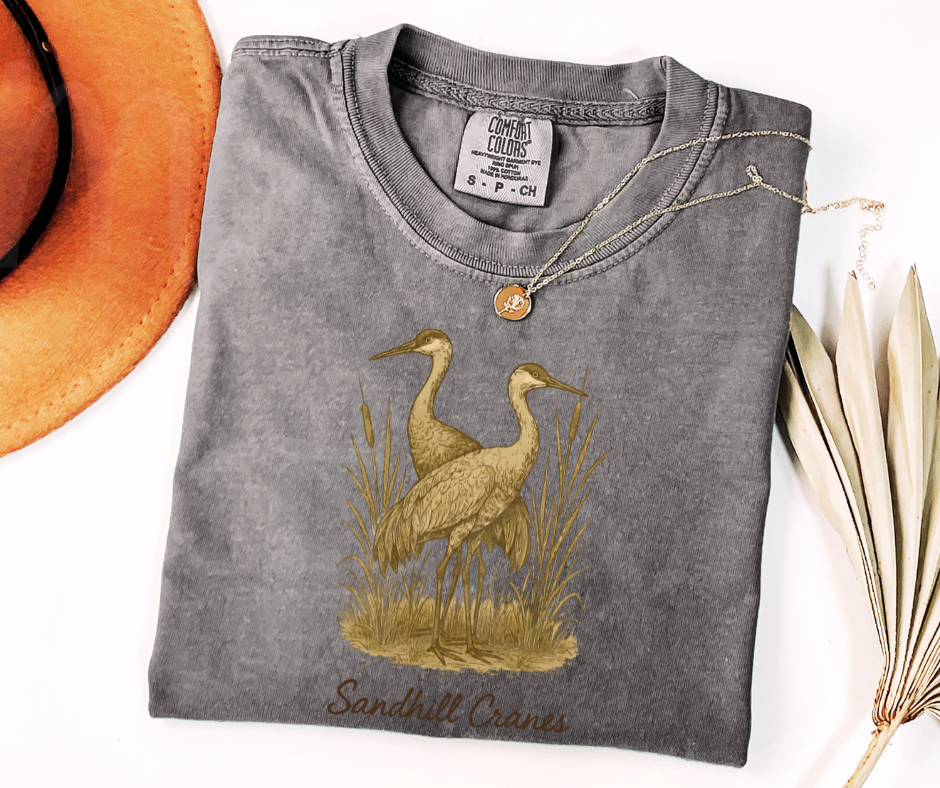 "Sandhill Cranes" Birdwatching Design Birds and Nature Inspired Unisex heavyweight t-shirt