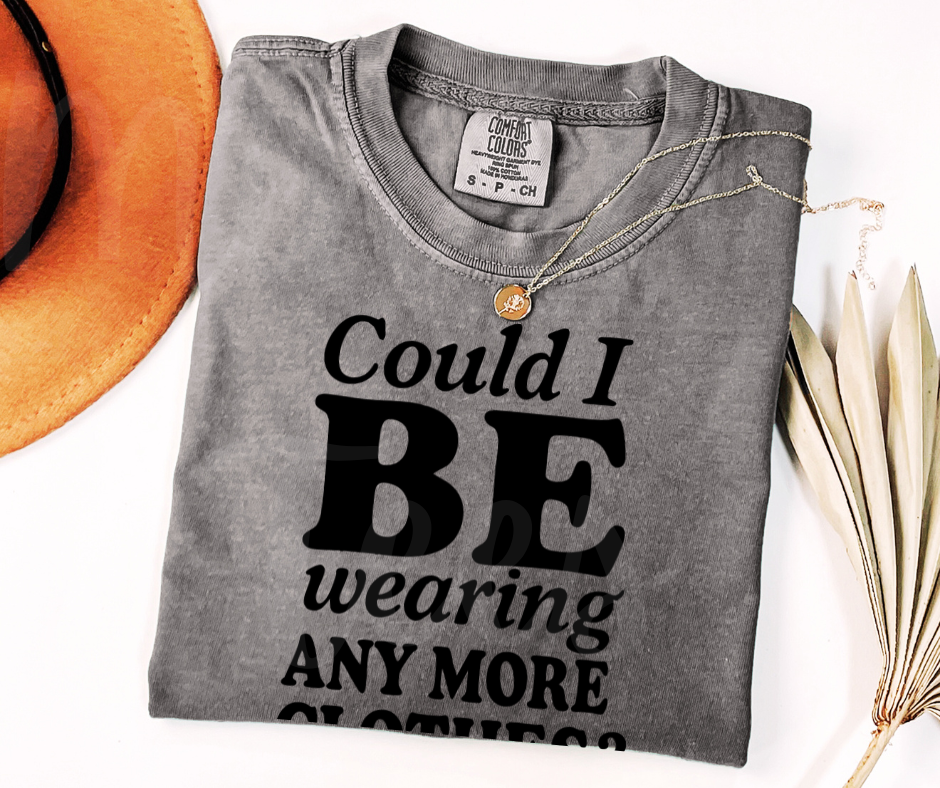 "Could I BE?" Sarcastic Design Friends Inspired Unisex heavyweight t-shirt