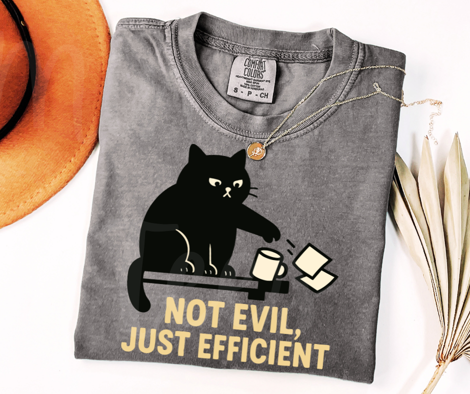 "Not Evil" Sarcastic Cat Design Unisex heavyweight t-shirt
