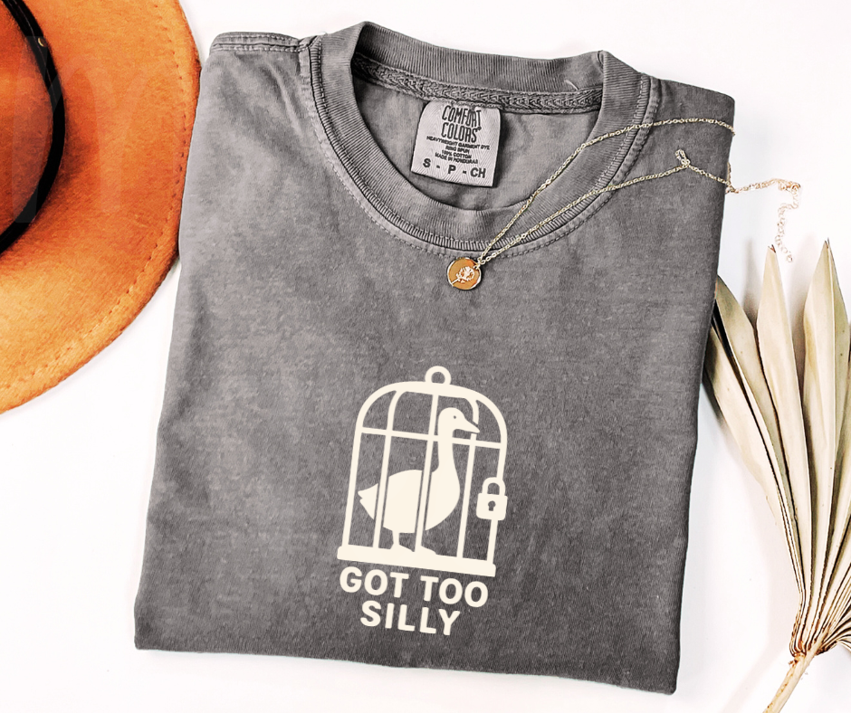 "Got Too Silly" Sarcastic Design Unisex heavyweight t-shirt