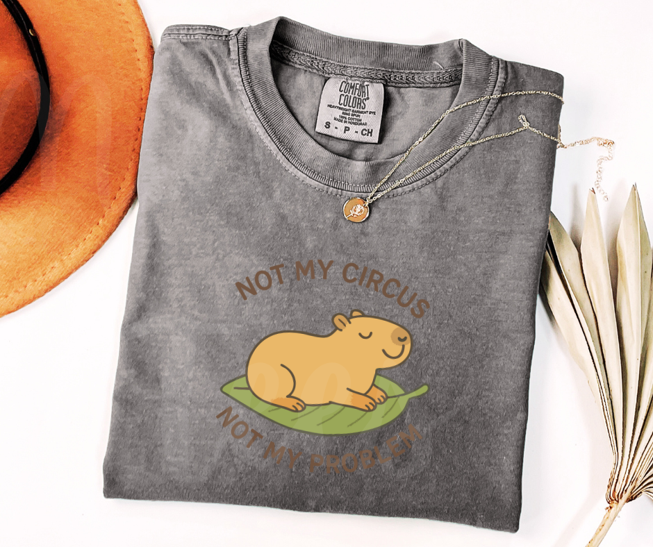 "Not My Circus" Sarcastic Design Unisex heavyweight t-shirt