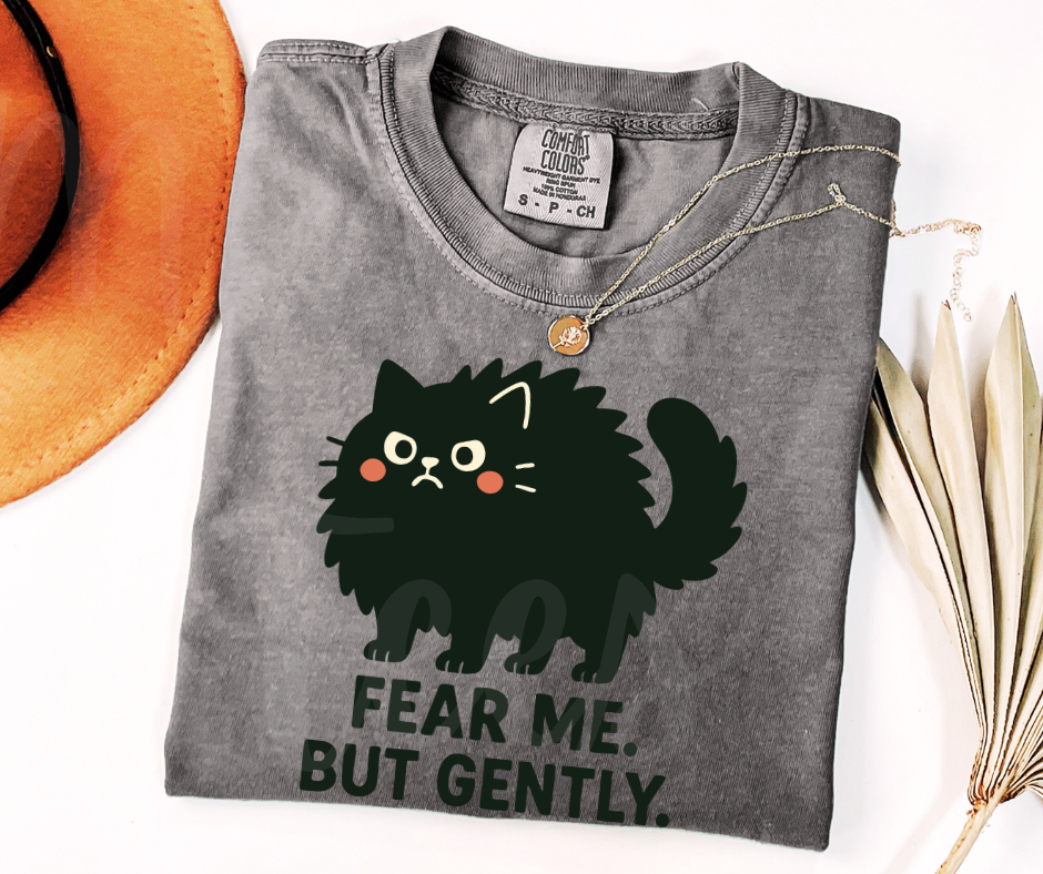 "Fear Me" Sarcastic Cat Design Unisex heavyweight t-shirt