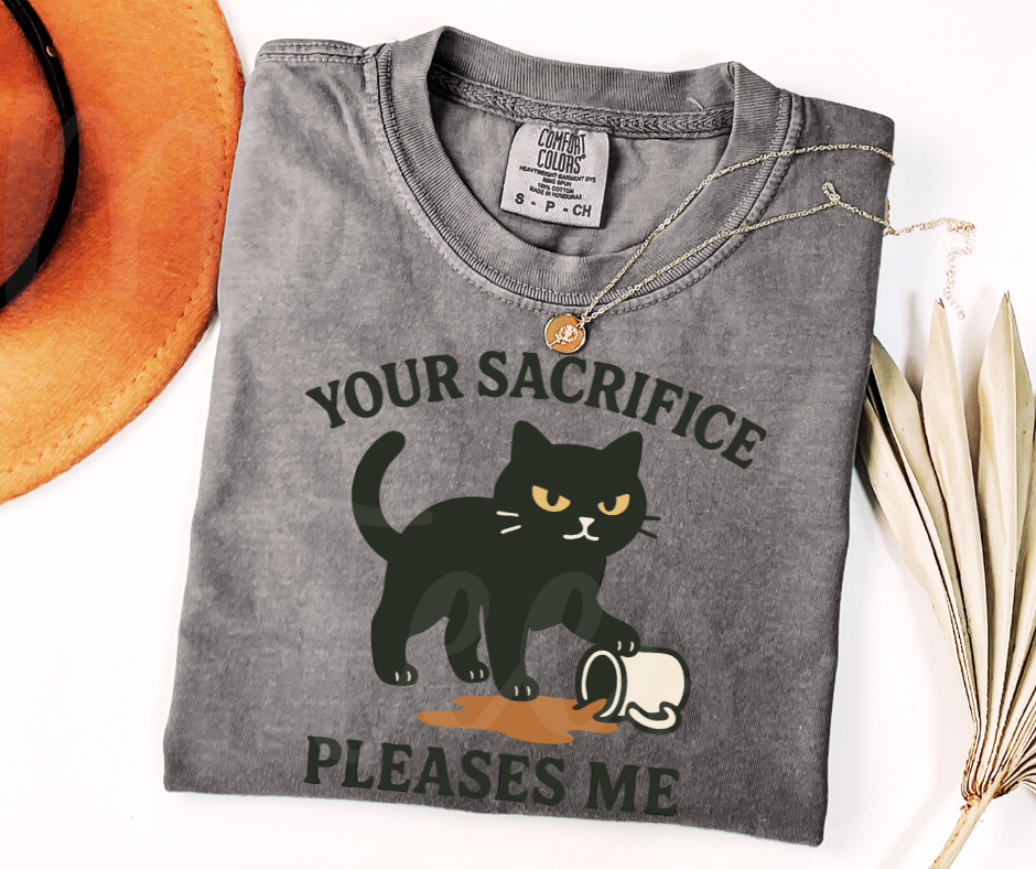 "Your Sacrifice Pleases Me" Sarcastic Cat Design Unisex heavyweight t-shirt