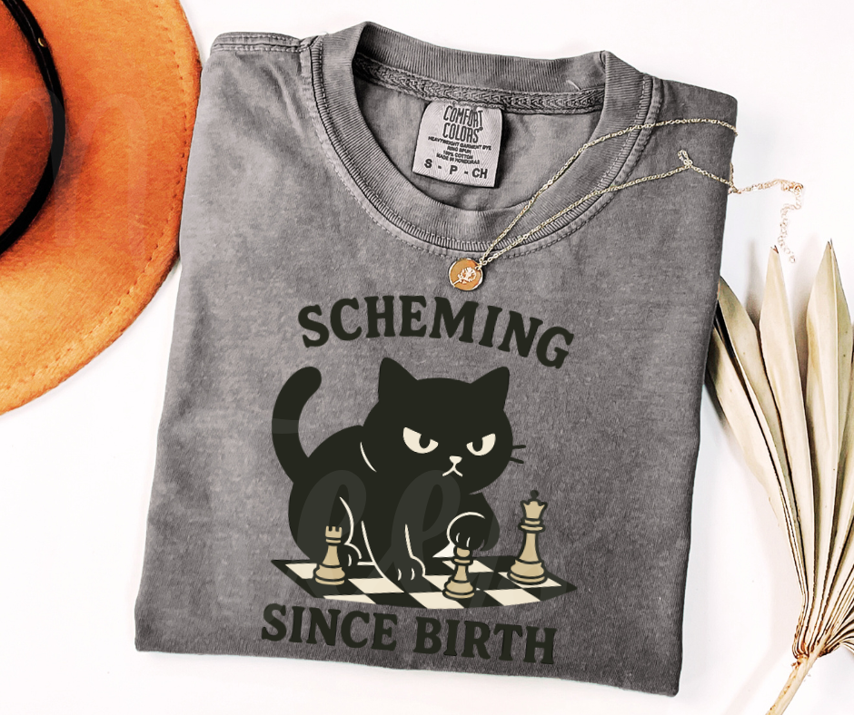 "Scheming" Sarcastic Cat Design Unisex heavyweight t-shirt