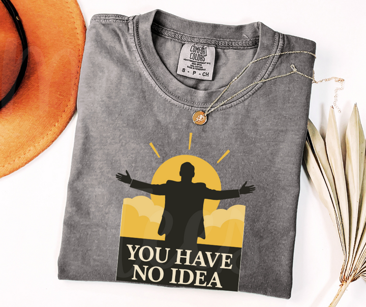 "You Have No Idea" Sarcastic Design The Office Inspired Unisex heavyweight t-shirt