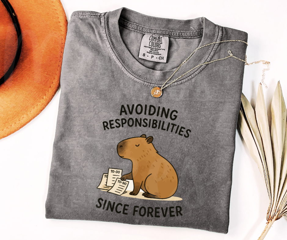 "Avoiding Resposibilities" Sarcastic Design Unisex heavyweight t-shirt