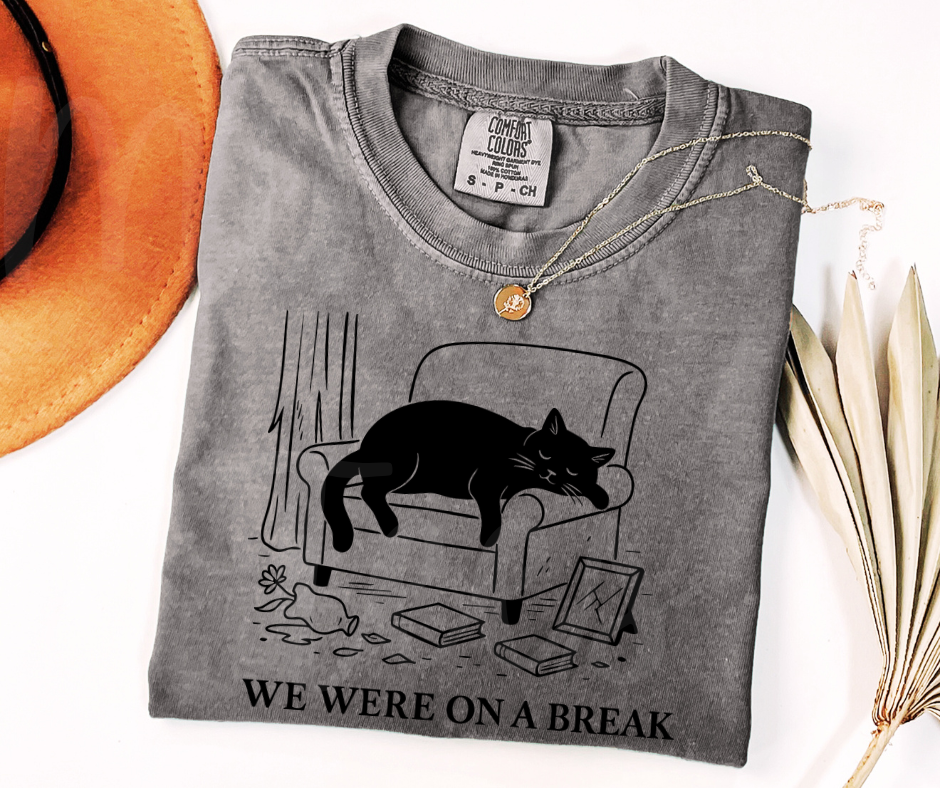 "We Were On A Break" Sarcastic Design Friends Inspired Unisex heavyweight t-shirt