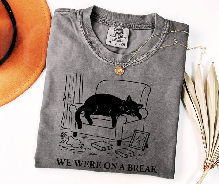 "We Were On A Break" Sarcastic Design Friends Inspired Unisex heavyweight t-shirt