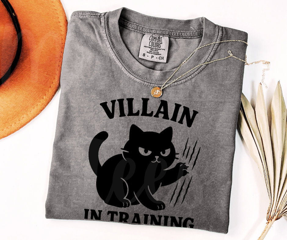 "Villain In Training" Sarcastic Cat Design Unisex heavyweight t-shirt