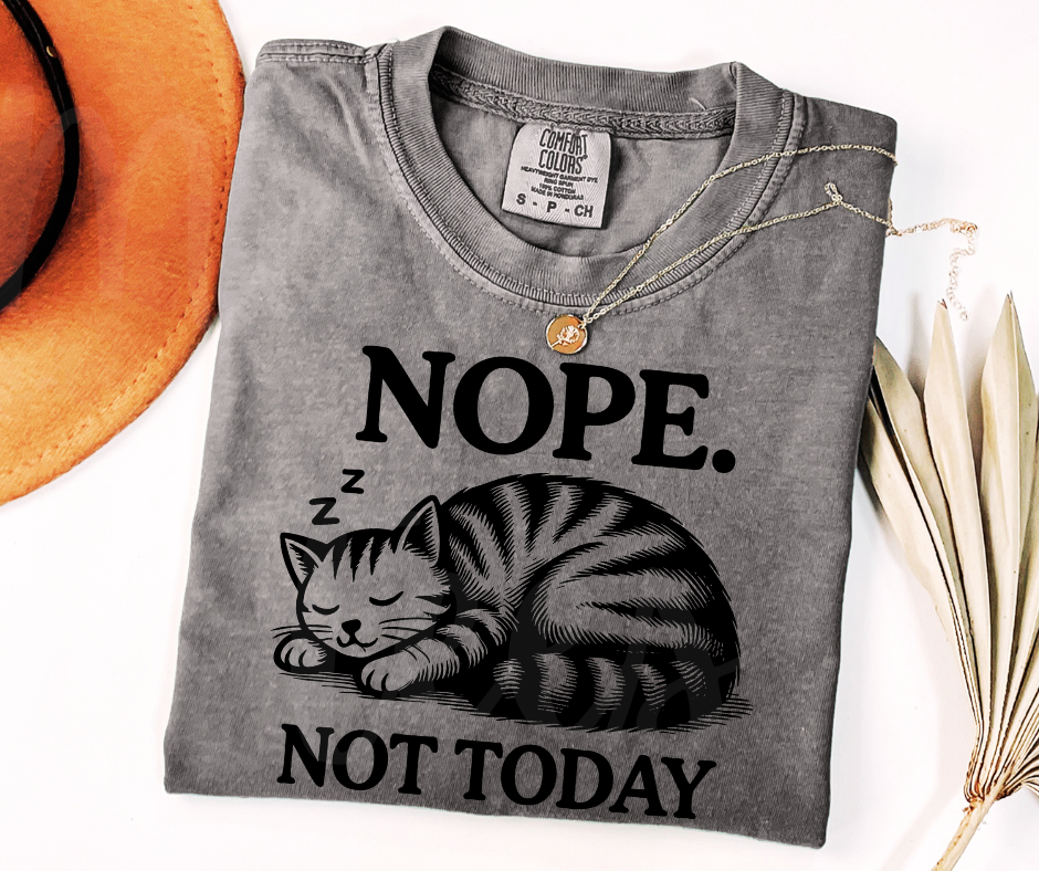 "Not Today" Sarcastic Cat Design Unisex heavyweight t-shirt