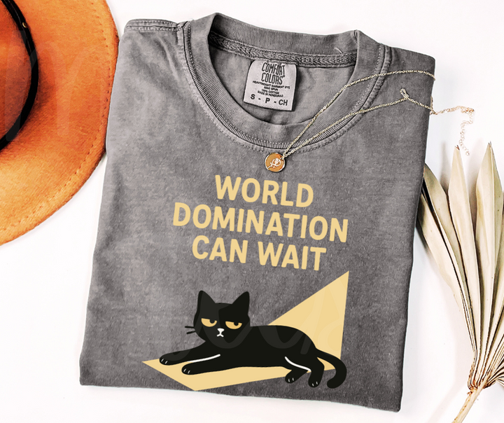 "World Domination Can Wait" Sarcastic Cat Design Unisex heavyweight t-shirt