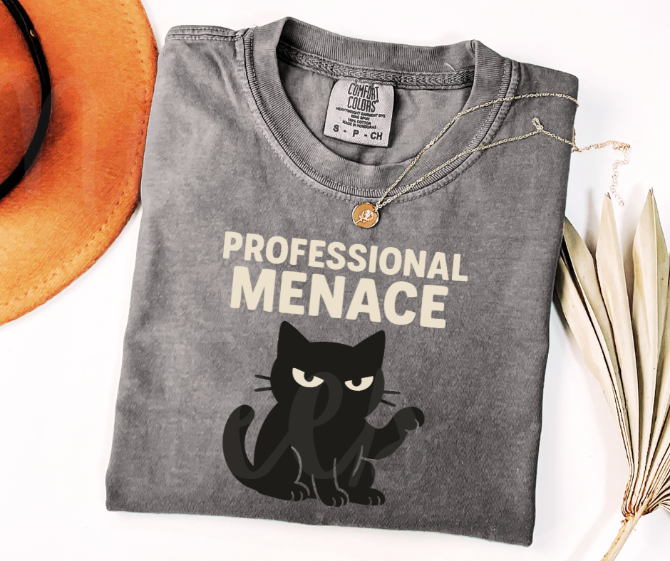 "Professional Menace" Sarcastic Cat Design Unisex heavyweight t-shirt