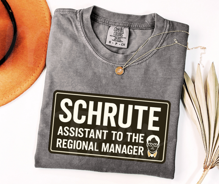 "Assistant To The Regional Manager" Sarcastic Design The Office Inspired Unisex heavyweight t-shirt
