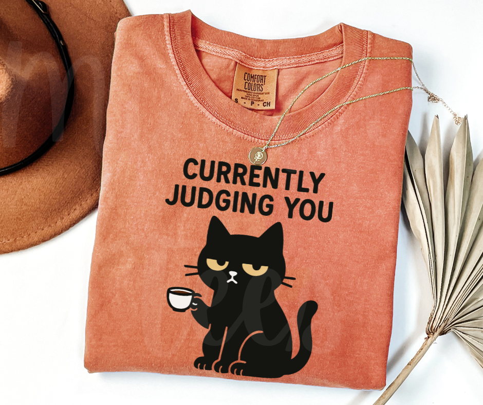 "Judging You" Sarcastic Cat Design Unisex heavyweight t-shirt