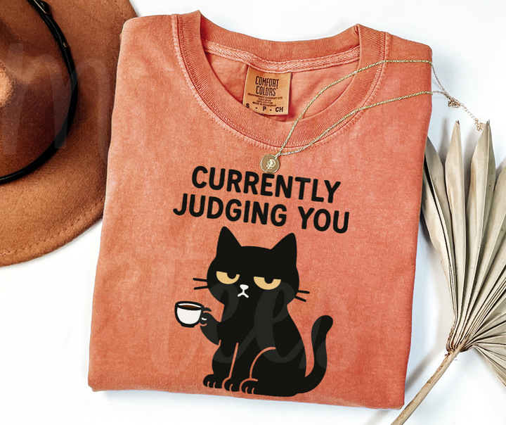 "Judging You" Sarcastic Cat Design Unisex heavyweight t-shirt