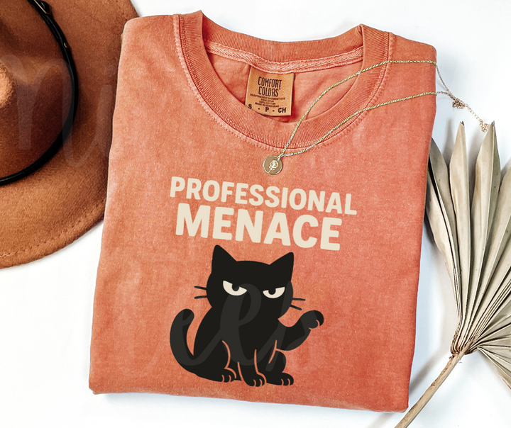 "Professional Menace" Sarcastic Cat Design Unisex heavyweight t-shirt