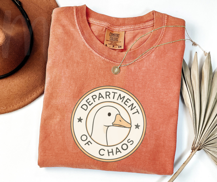 "Department of Chaos" Sarcastic Design Unisex heavyweight t-shirt