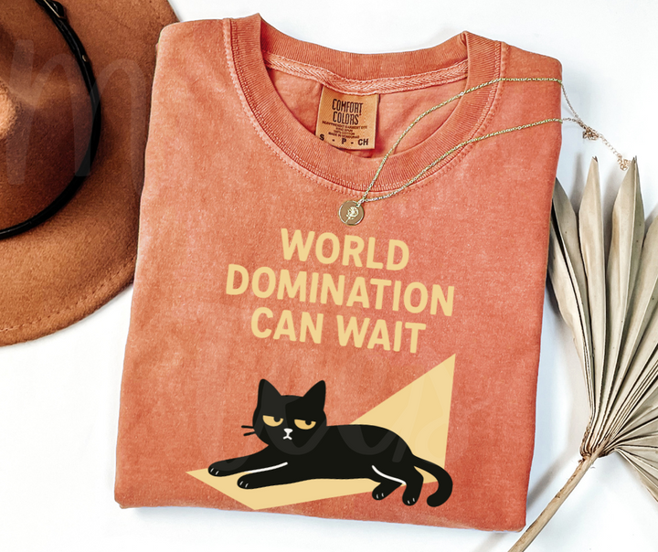 "World Domination Can Wait" Sarcastic Cat Design Unisex heavyweight t-shirt