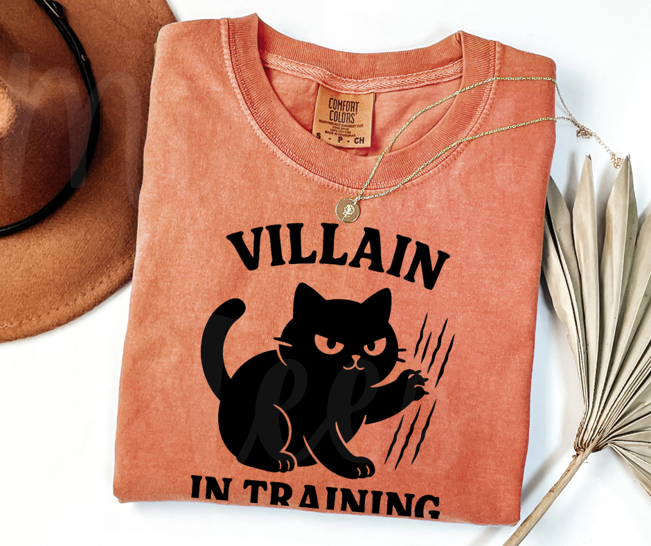 "Villain In Training" Sarcastic Cat Design Unisex heavyweight t-shirt
