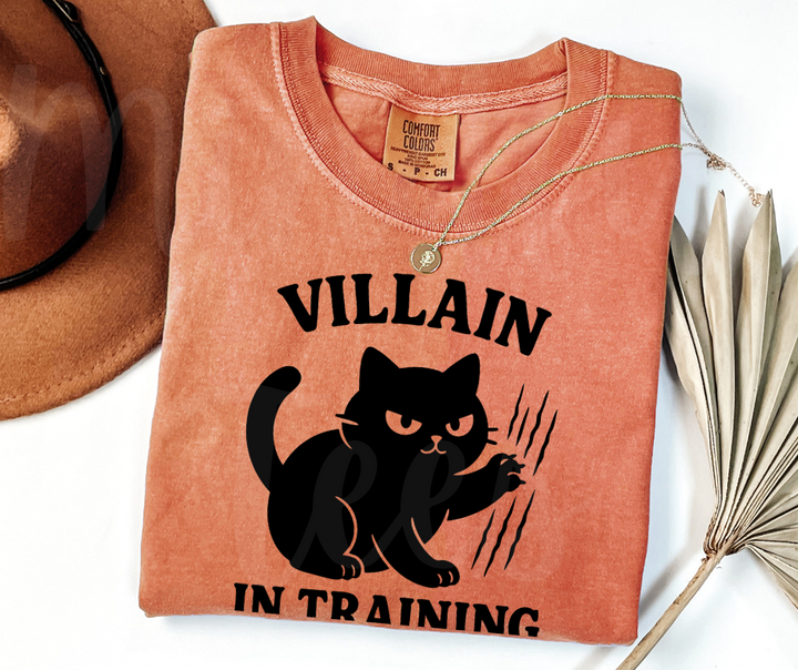 "Villain In Training" Sarcastic Cat Design Unisex heavyweight t-shirt