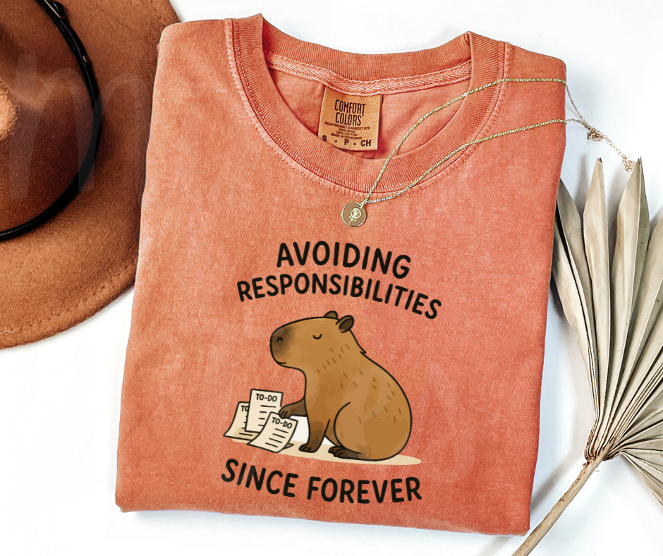 "Avoiding Resposibilities" Sarcastic Design Unisex heavyweight t-shirt