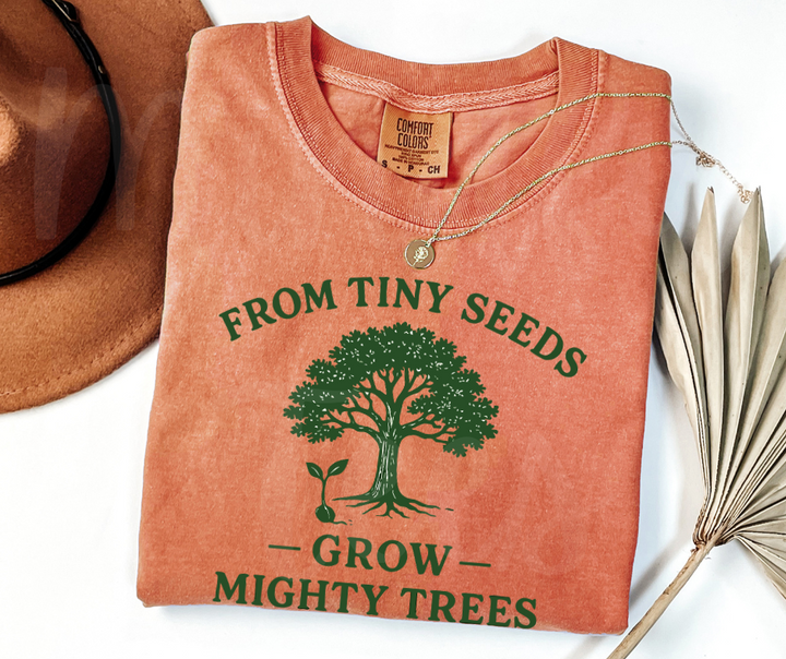 "From Tiny Seeds" Funny Plant Lover Tee Design Unisex heavyweight t-shirt