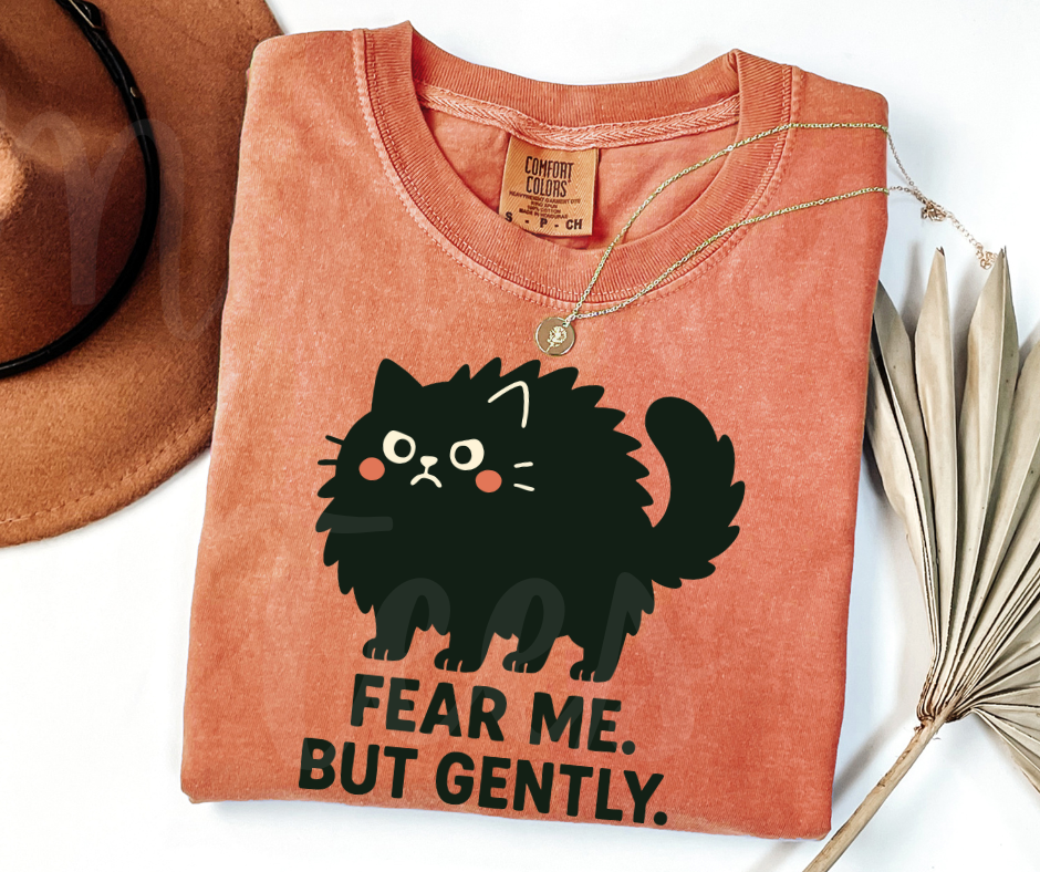 "Fear Me" Sarcastic Cat Design Unisex heavyweight t-shirt