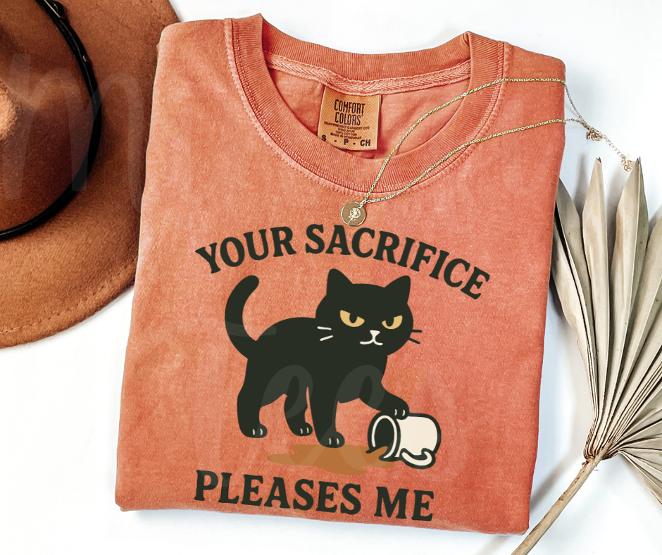 "Your Sacrifice Pleases Me" Sarcastic Cat Design Unisex heavyweight t-shirt
