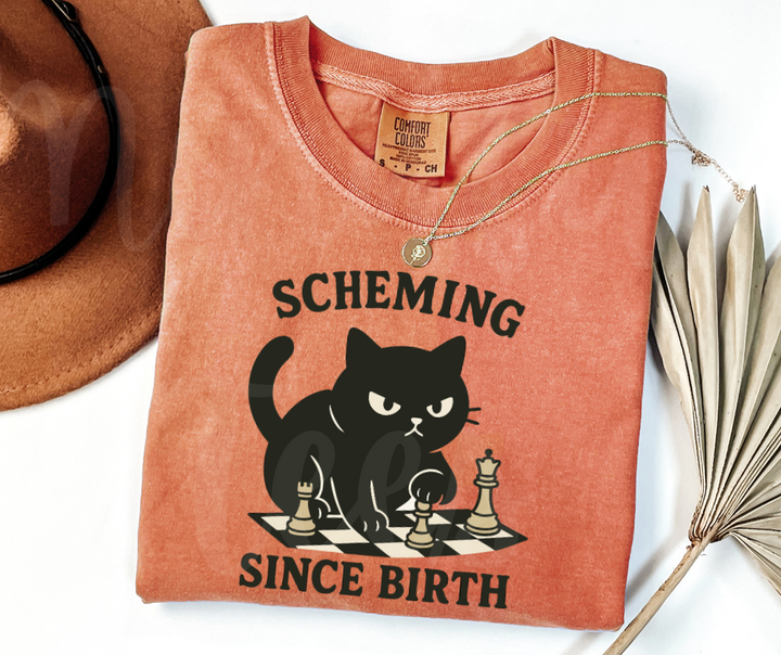 "Scheming" Sarcastic Cat Design Unisex heavyweight t-shirt