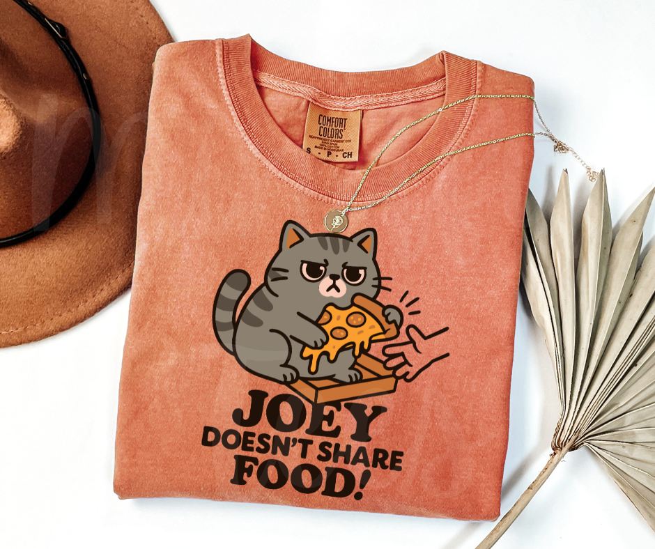 "Joey Doesn't Share Food" Sarcastic Design Friends Inspired Unisex heavyweight t-shirt