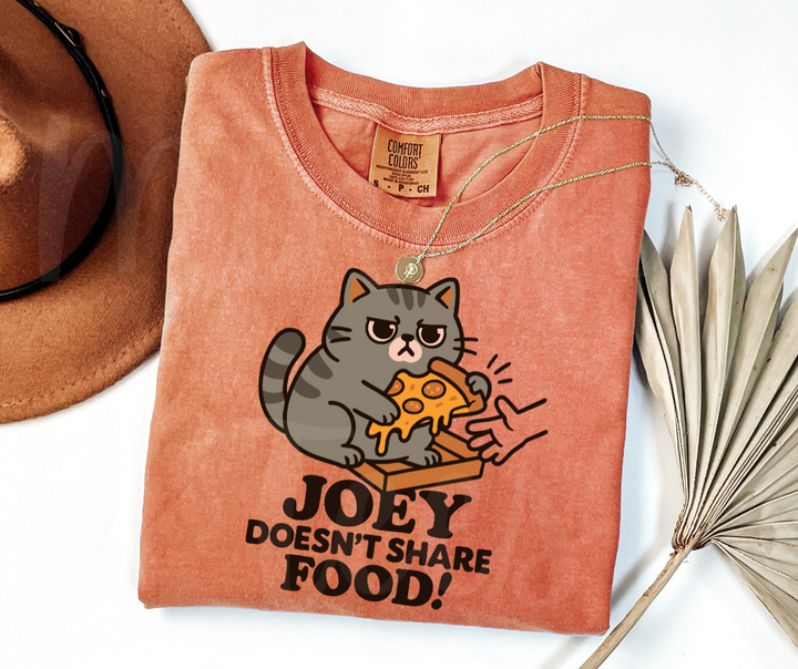 "Joey Doesn't Share Food" Sarcastic Design Friends Inspired Unisex heavyweight t-shirt