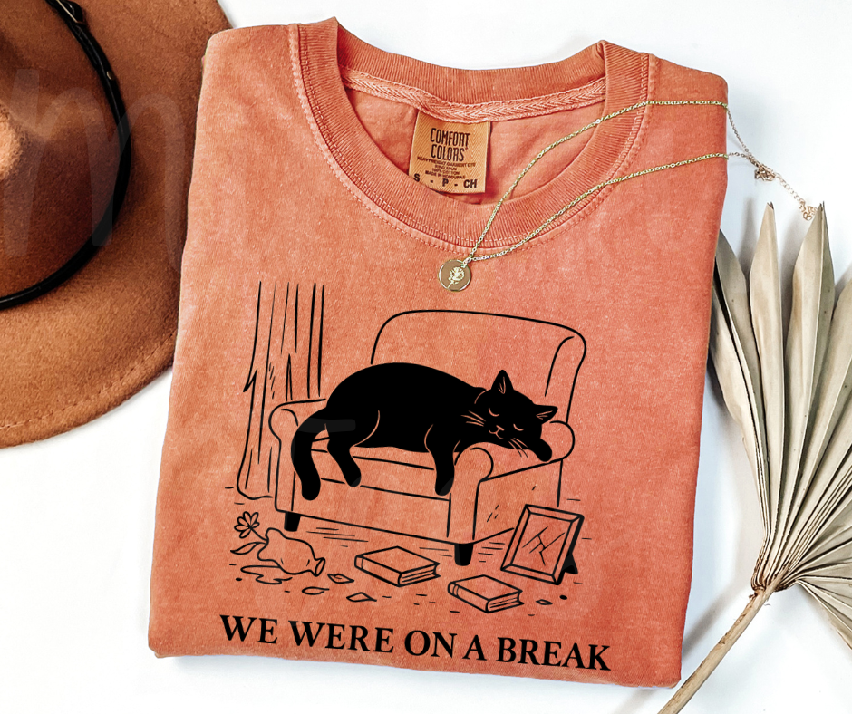 "We Were On A Break" Sarcastic Design Friends Inspired Unisex heavyweight t-shirt