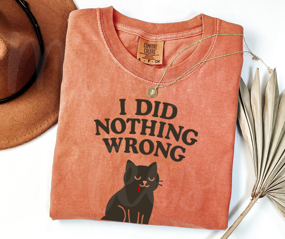 "I Did Nothing Wrong" Sarcastic Cat Design Unisex heavyweight t-shirt