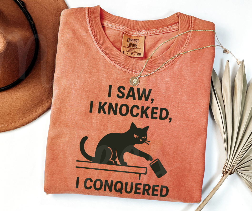 "I Saw I Knocked" Sarcastic Cat Design Unisex heavyweight t-shirt