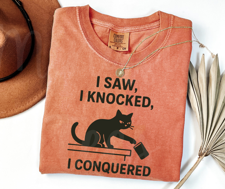 "I Saw I Knocked" Sarcastic Cat Design Unisex heavyweight t-shirt