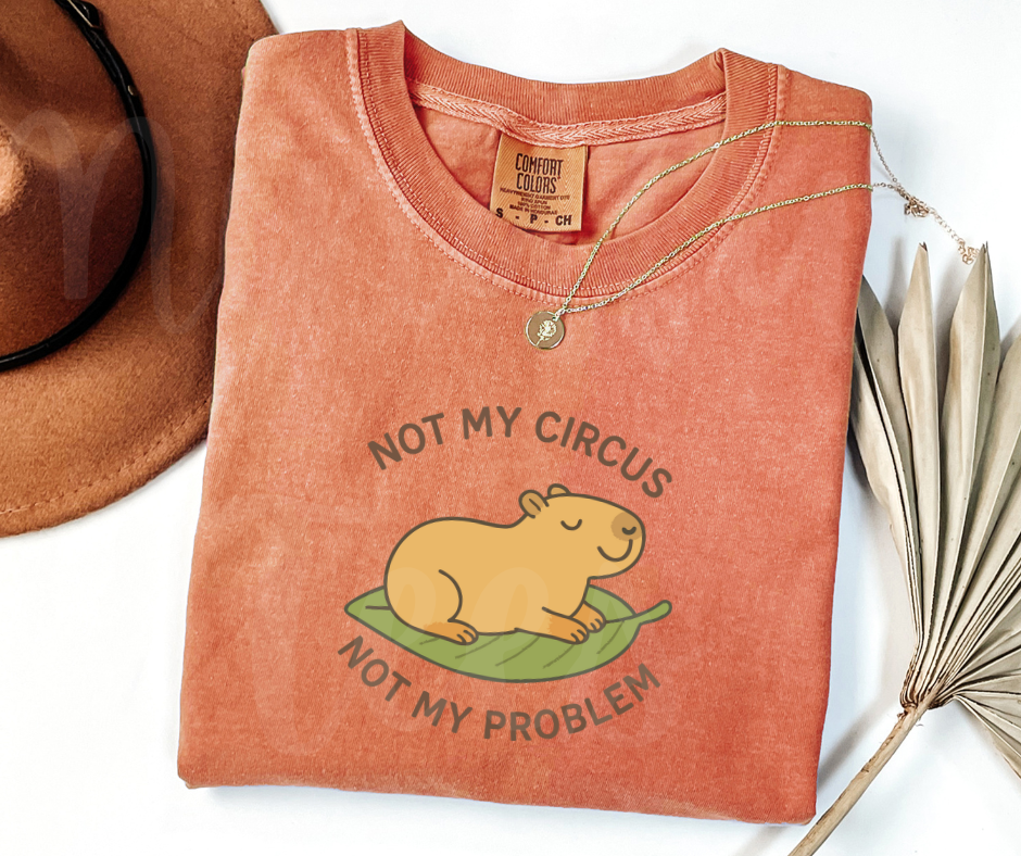 "Not My Circus" Sarcastic Design Unisex heavyweight t-shirt