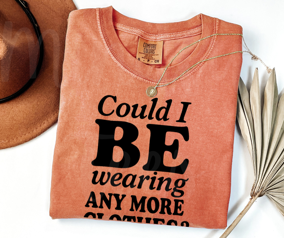 "Could I BE?" Sarcastic Design Friends Inspired Unisex heavyweight t-shirt