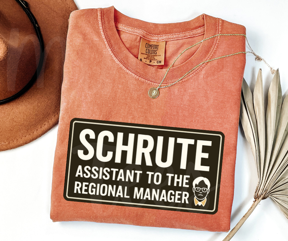 "Assistant To The Regional Manager" Sarcastic Design The Office Inspired Unisex heavyweight t-shirt