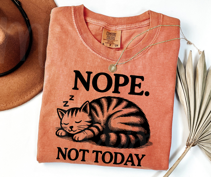 "Not Today" Sarcastic Cat Design Unisex heavyweight t-shirt