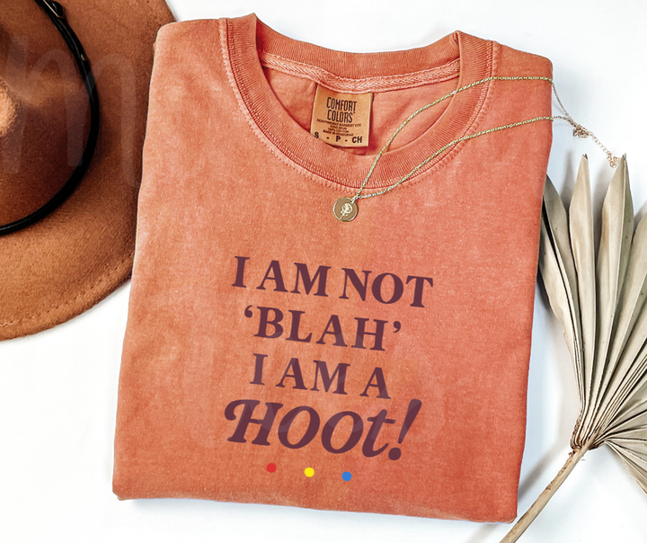 "I Am A Hoot!" Sarcastic Design Friends Inspired Unisex heavyweight t-shirt