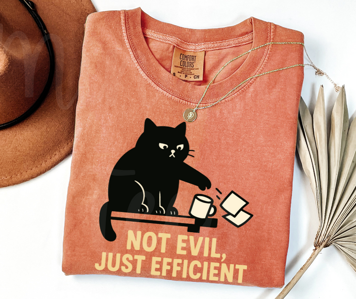 "Not Evil" Sarcastic Cat Design Unisex heavyweight t-shirt