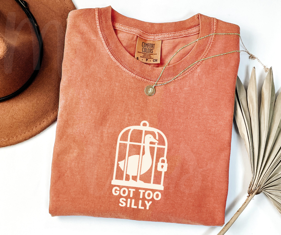 "Got Too Silly" Sarcastic Design Unisex heavyweight t-shirt
