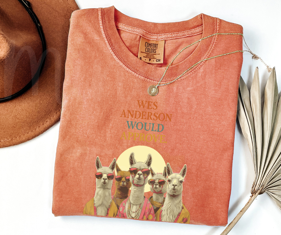 "Wes Anderson" Sarcastic Design Unisex heavyweight t-shirt