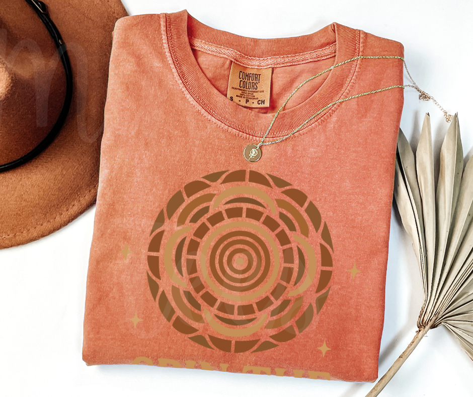 "Spin The Wheel" Funny Design Pottery Clay Hobby Inspired Unisex heavyweight t-shirt